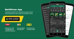 BetWinner Bookmaker Your Ultimate Guide to Online Betting -817401105