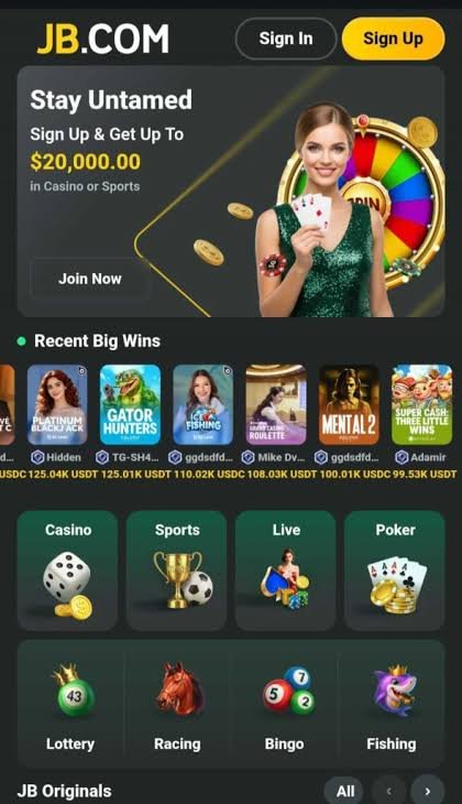 Exploring the Excitement of JB Casino India